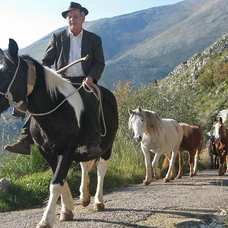 Il Nido Dei Gemelli Casa vacanze Formia
